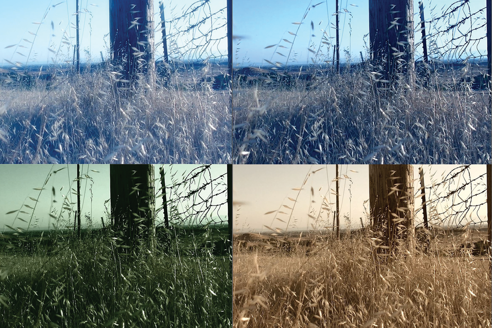 Colour grading in film production